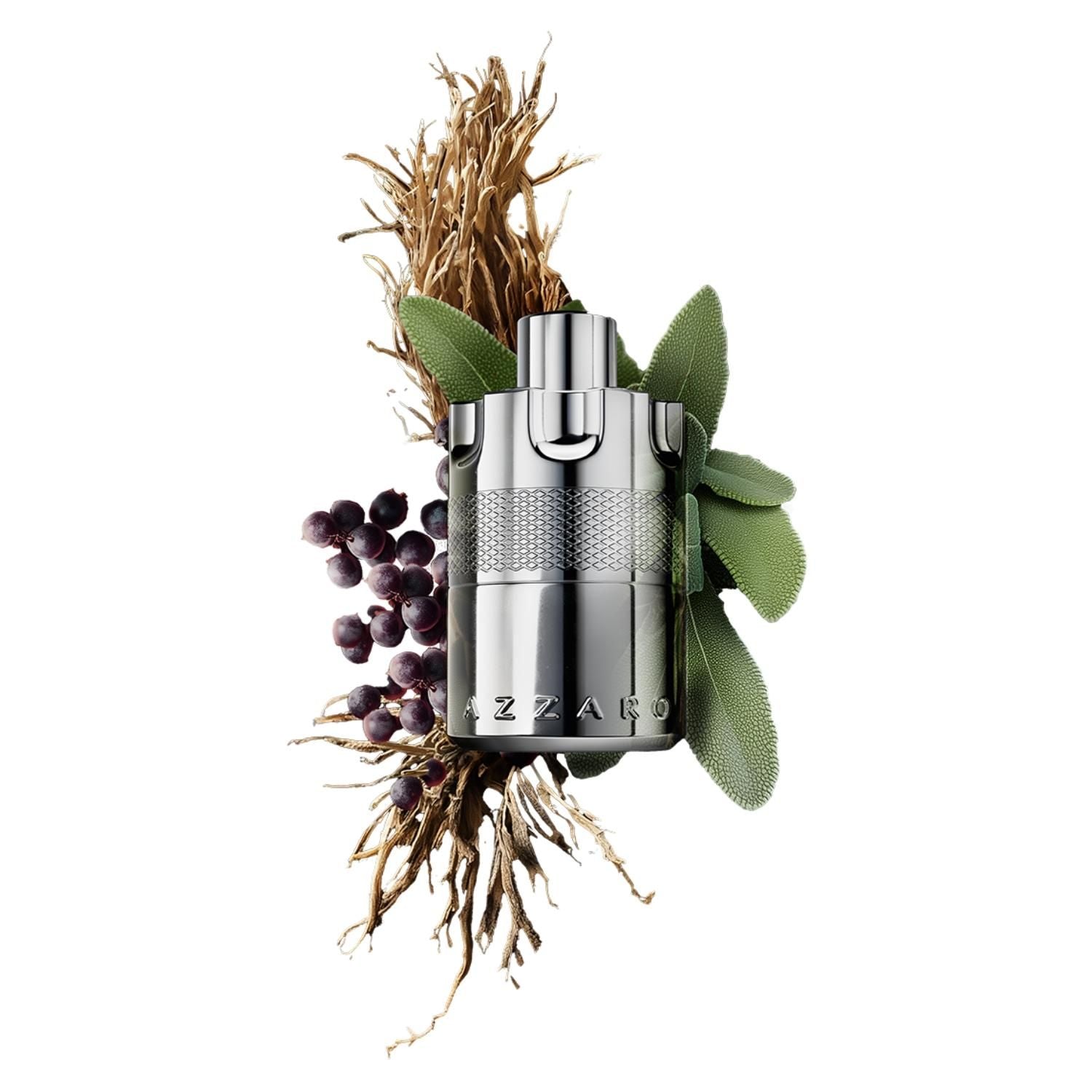 Perfume Azzaro Wanted Eau De Parfum 100ml.